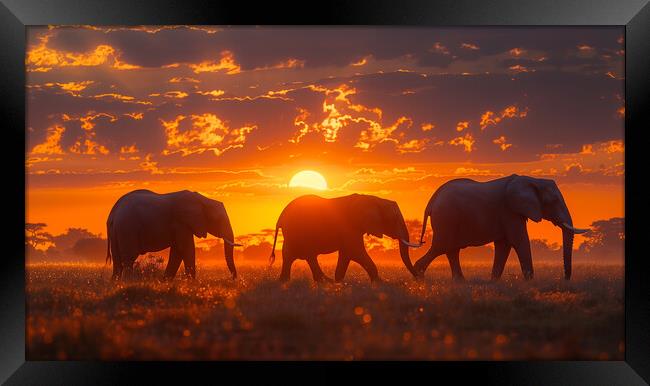 Elephants in the African Sunset Framed Print by T2 