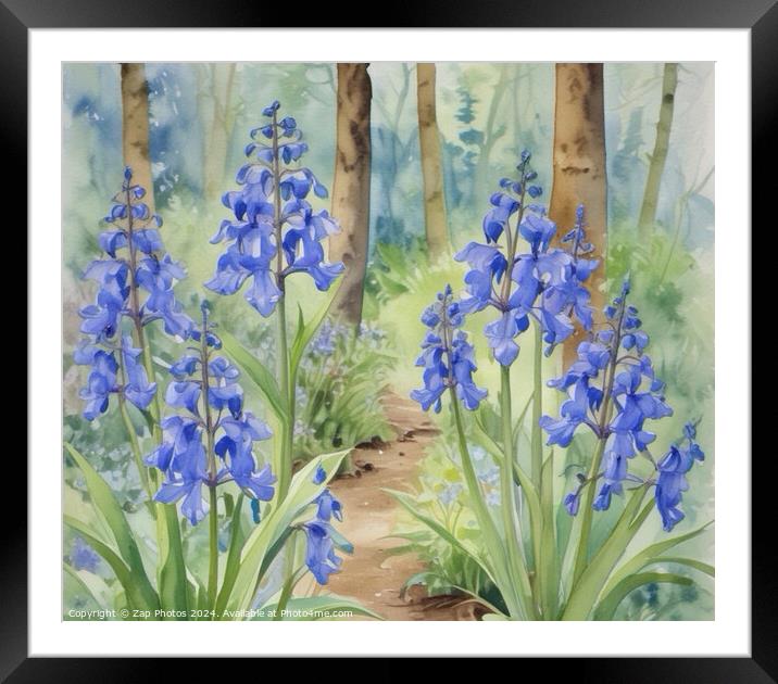  Watercolour Bluebells wood Framed Mounted Print by Zap Photos