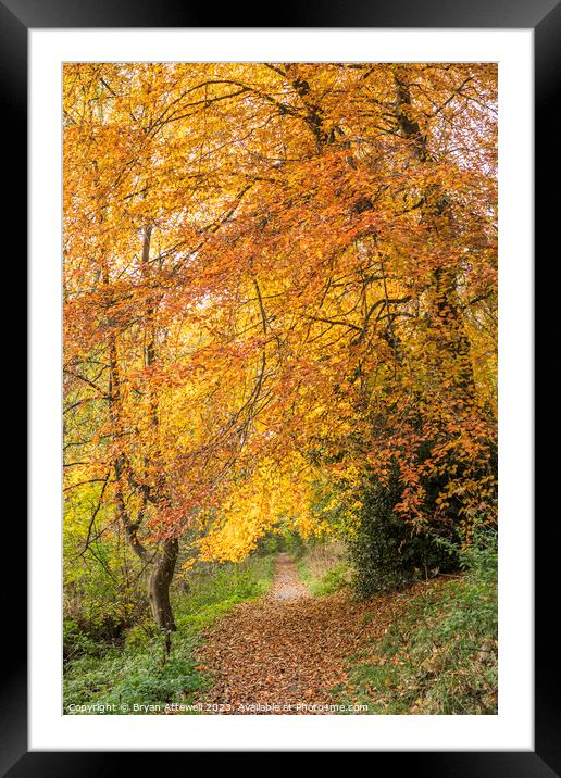Autumn colours in Backhouse Park Framed Mounted Print by Bryan Attewell