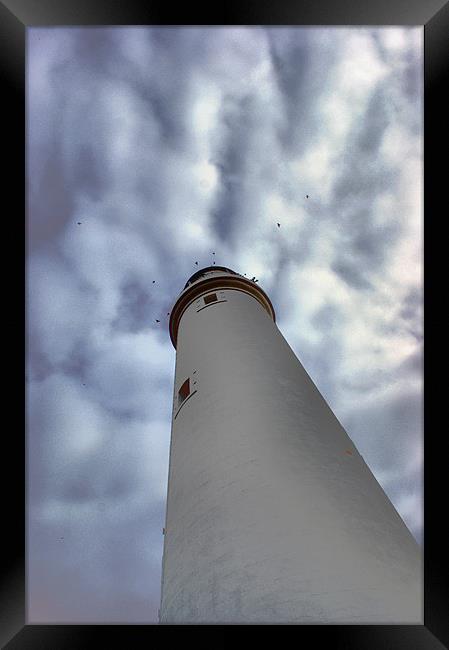 St Marys Lighthouse Framed Print by George Young