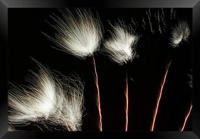 Fireworks Framed Print by George Young