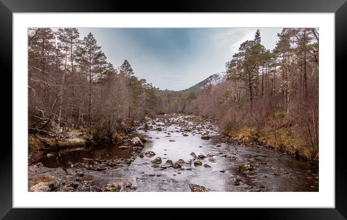 Dog Falls Framed Mounted Print by Jack Biggadike