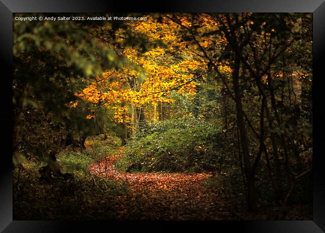 Autumn Walk at Hanningfield Reservoir Framed Print by Andy Salter