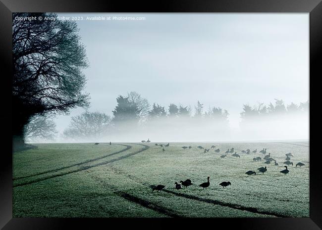 Geese and Early Mist Framed Print by Andy Salter