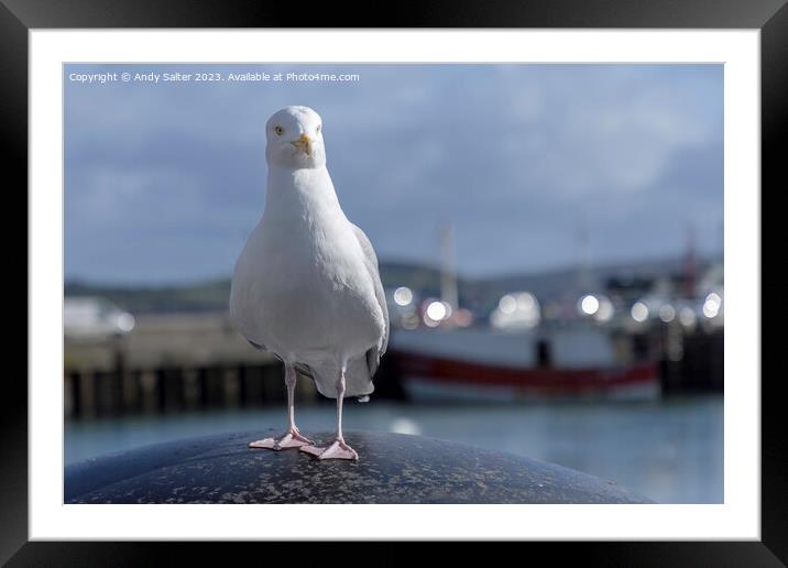 Did you catch my best side? Framed Mounted Print by Andy Salter