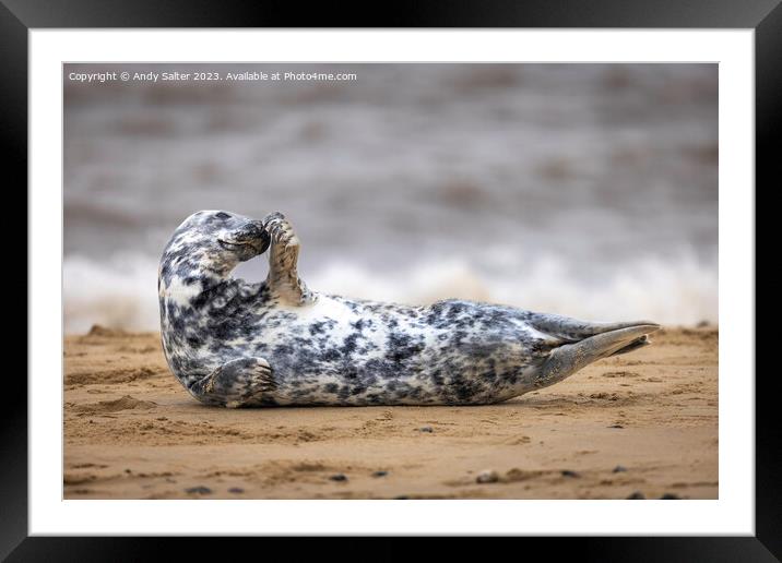 Winterton on Sea Grey Seal Framed Mounted Print by Andy Salter