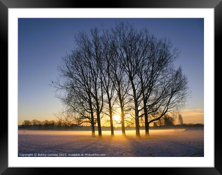 Winter sun Framed Mounted Print by Bobby Conway