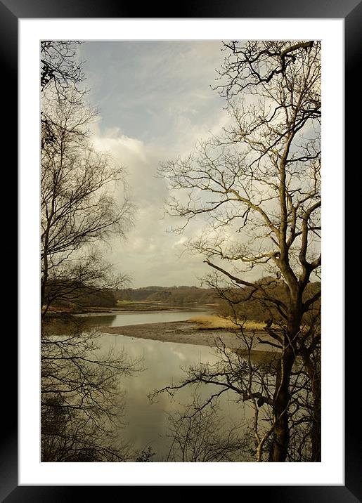 The Hamble from Curbrudge Framed Mounted Print by Alan Pickersgill