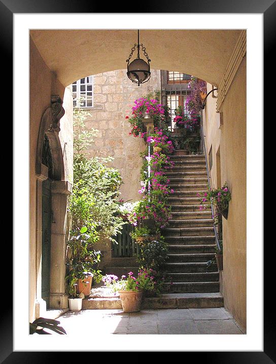 Italian Steps  Framed Mounted Print by Alan Pickersgill