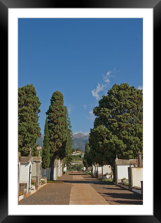 A Grave Perspective Framed Mounted Print by Alan Pickersgill