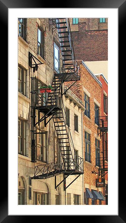 Fire escape Framed Mounted Print by Alan Pickersgill
