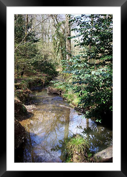 Spring Stream Framed Mounted Print by Alan Pickersgill