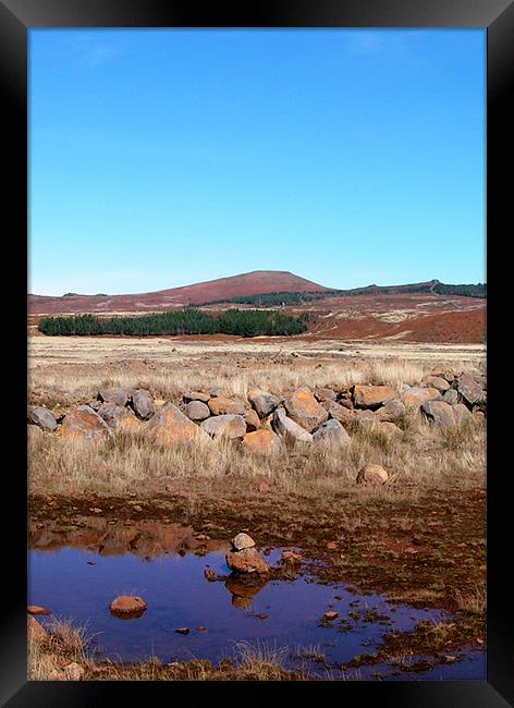 Pool stones Framed Print by Alan Pickersgill