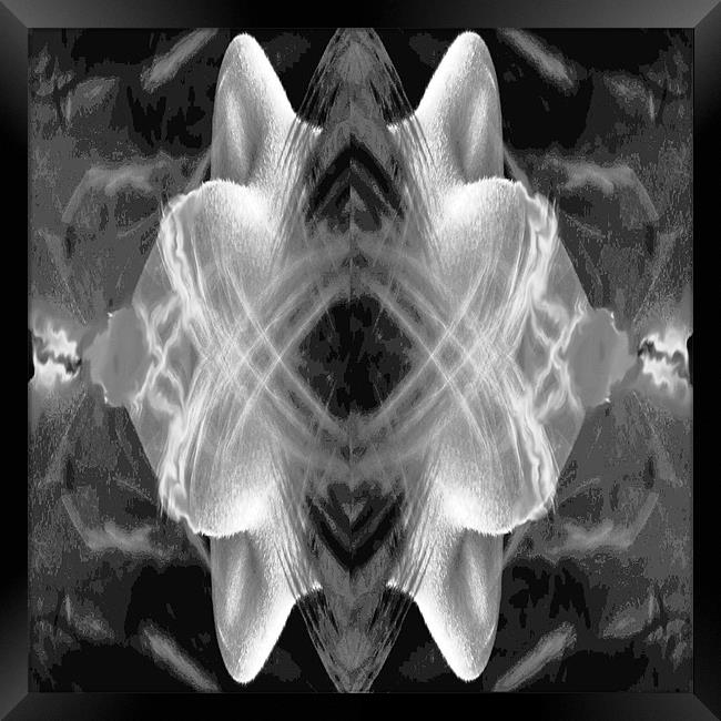 Nasal Wave Framed Print by Alan Pickersgill