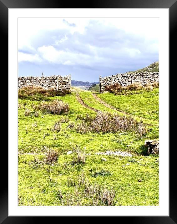 An open gate to the mountain Framed Mounted Print by Anthony Middleton