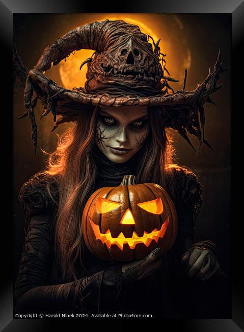 Halloween Witch Framed Print by Harold Ninek