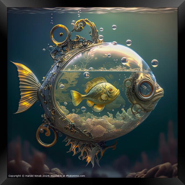 A Fish Within a Fish Framed Print by Harold Ninek
