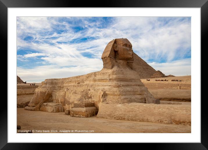 Great Sphinx of Giza Framed Mounted Print by Tony Davis