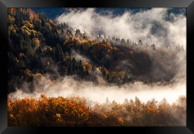 This is what autumn feels like in Slovenia Framed Print by Suppakij Vorasriherun