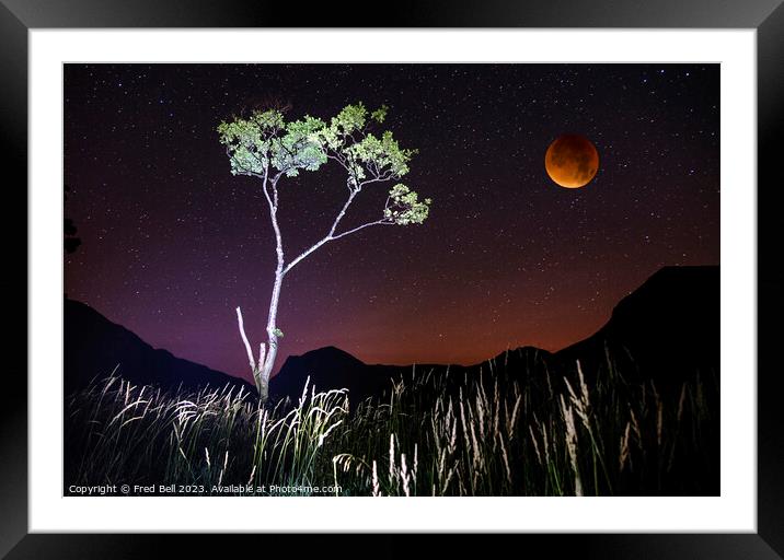Buttermere tree at night  Framed Mounted Print by Fred Bell