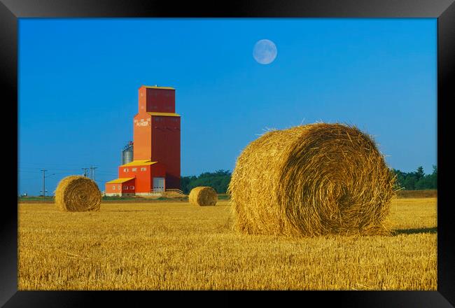 Straw Bales and Old Grain Elevator Framed Print by Dave Reede