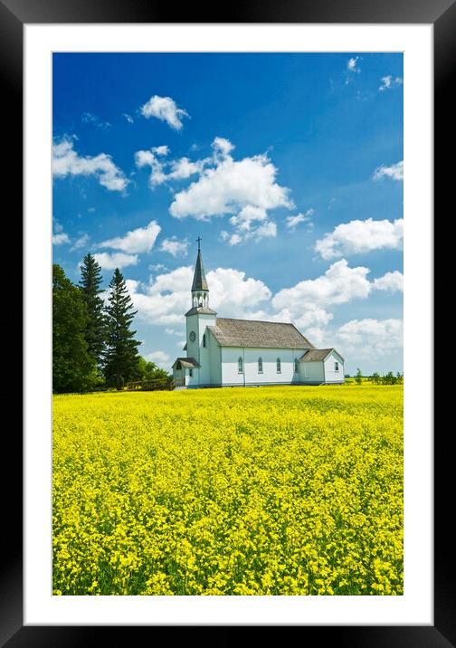 bloom stage canola field with historic Chapelle St. Thérèse church in the background Framed Mounted Print by Dave Reede