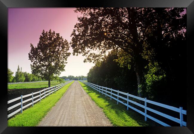 country road  Framed Print by Dave Reede