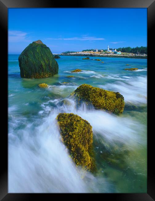 low tide on Seal Island  Framed Print by Dave Reede