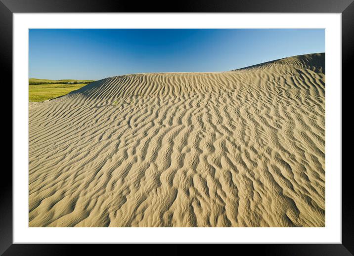the Great Sandhills Framed Mounted Print by Dave Reede