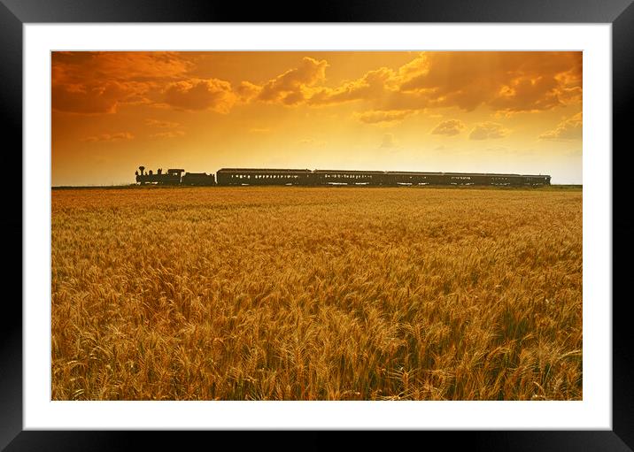 Prairie Dog Central Passing a Wheat Field Framed Mounted Print by Dave Reede
