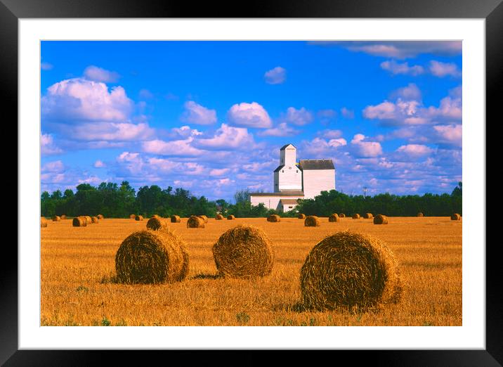 Straw Bales With Old Grain Elevator in the Background Framed Mounted Print by Dave Reede