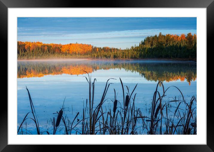 Autumn Morning Framed Mounted Print by Dave Reede