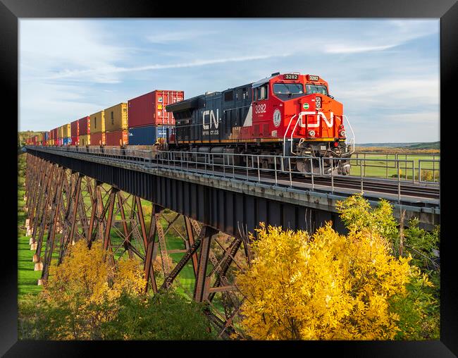 rail cars carrying containers on the Uno trestle Framed Print by Dave Reede