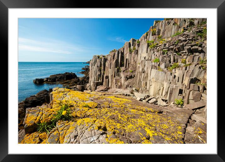 basalt rock cliffs Framed Mounted Print by Dave Reede