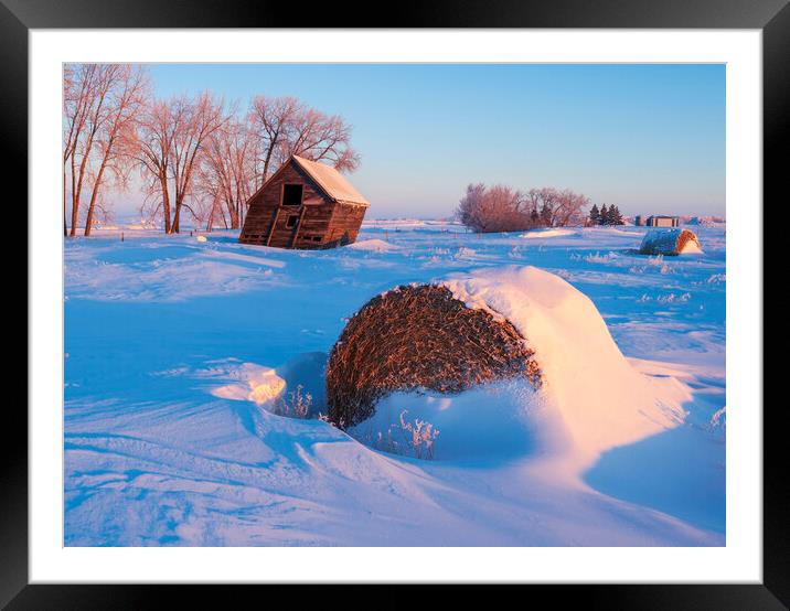 snow drifts, old grain bins with alfalfa bale in the foreground Framed Mounted Print by Dave Reede
