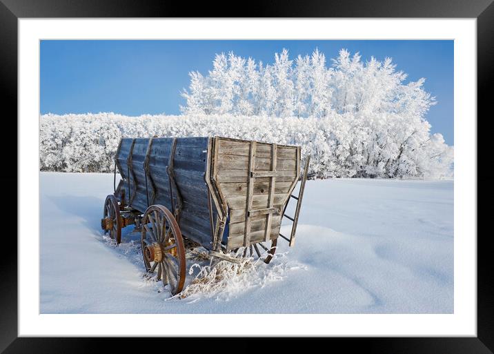Wagon on a frosty day Framed Mounted Print by Dave Reede