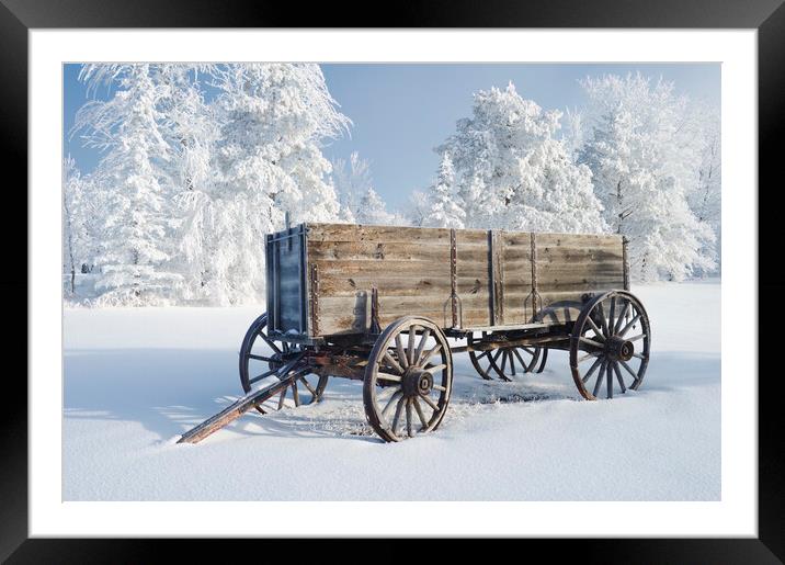 old wagon  Framed Mounted Print by Dave Reede