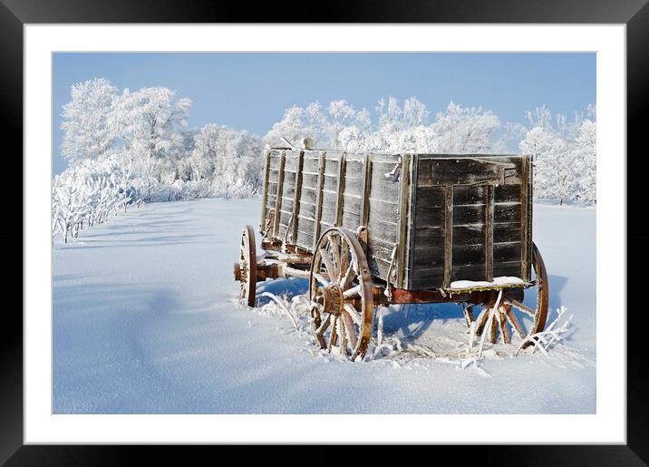 Wagon in the hoarfrost Framed Mounted Print by Dave Reede