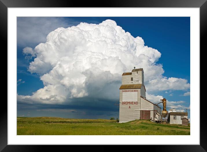 grain elevator and cumulonimbus supercell Framed Mounted Print by Dave Reede