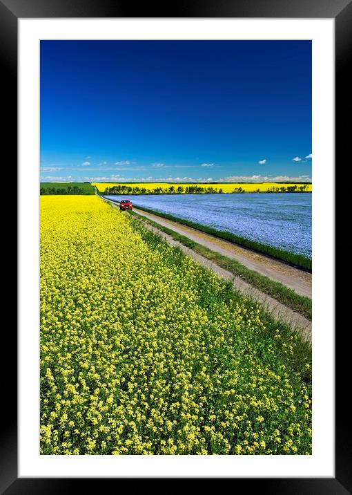 Backroad Through Farmland Framed Mounted Print by Dave Reede