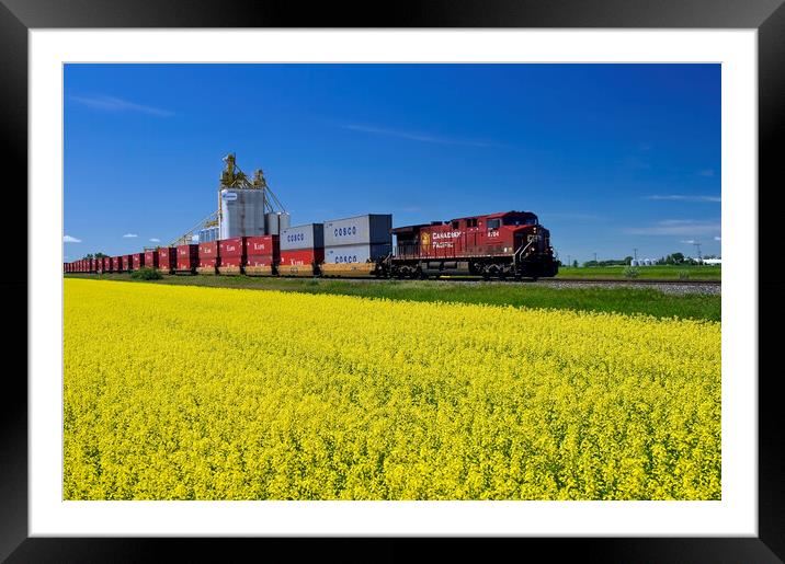 rail cars carrying containers pass a canola field and inland grain terminal Framed Mounted Print by Dave Reede