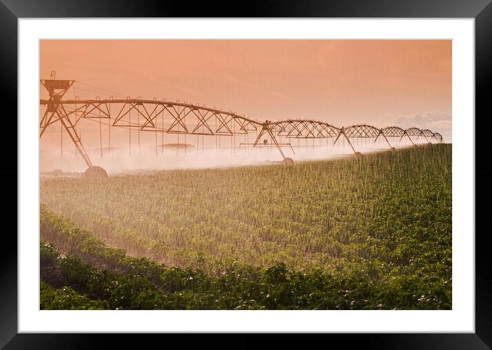 center pivot irrigation system Framed Mounted Print by Dave Reede