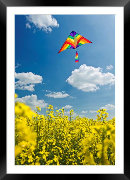 kite over field Framed Mounted Print by Dave Reede