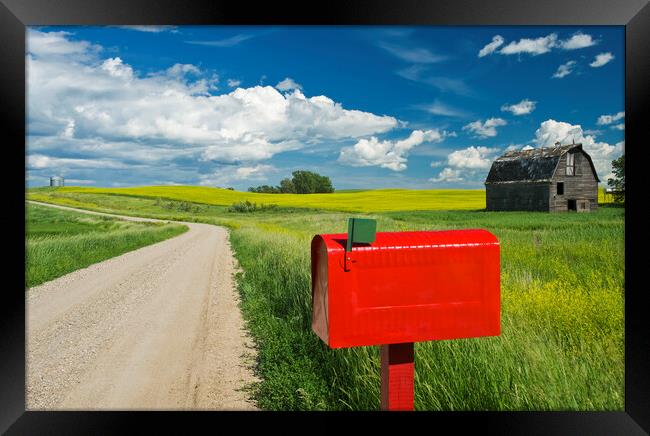 mailbox along country road Framed Print by Dave Reede