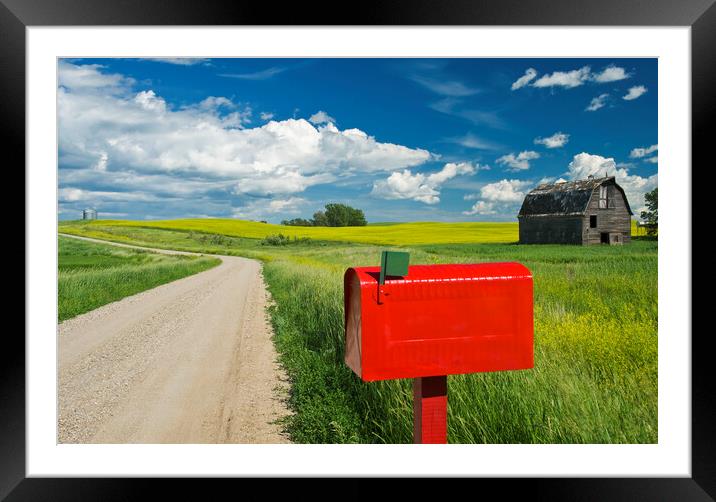 mailbox along country road Framed Mounted Print by Dave Reede