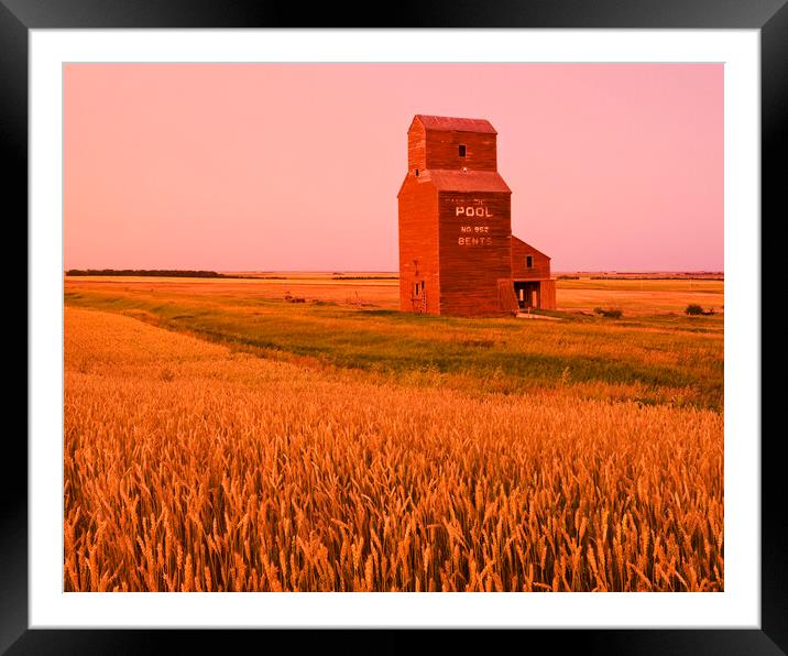 elevator, abandoned town of Bents Framed Mounted Print by Dave Reede