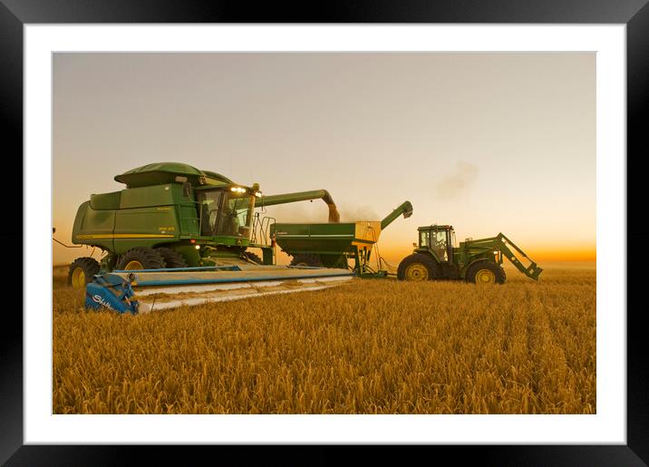 a combine unloads barley in to a grain wagon on the go Framed Mounted Print by Dave Reede