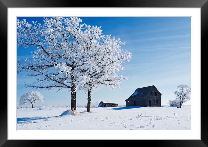 frost covered trees and old farm house Framed Mounted Print by Dave Reede