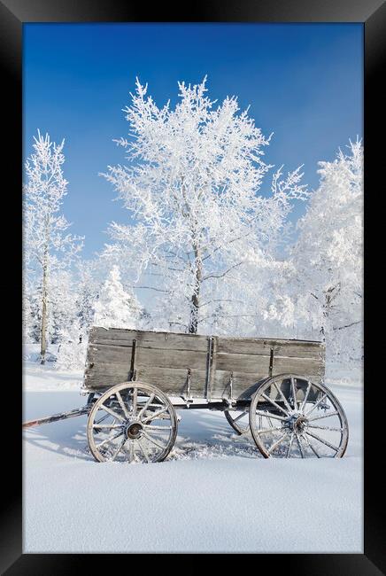 Wagon in the Hoarfrost Framed Print by Dave Reede