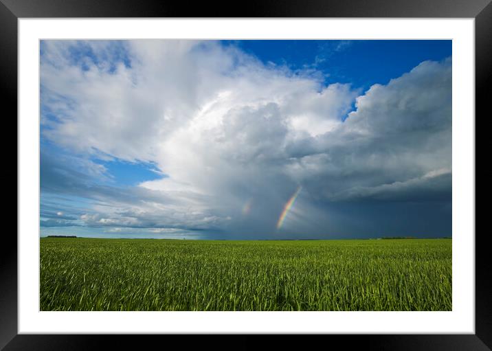 grain field and sky with rainbow  Framed Mounted Print by Dave Reede